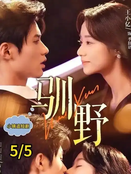 小蝌蚪影院治愈系剧集山海食堂